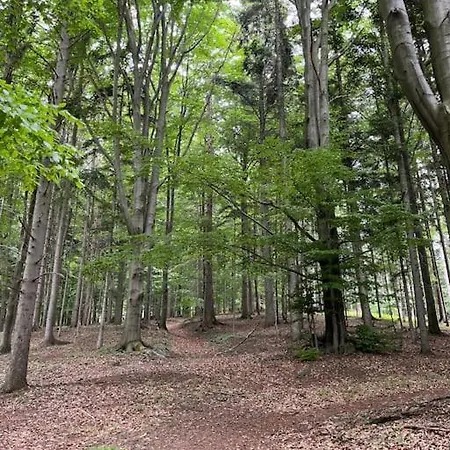 Pod Pindulou Feriehus